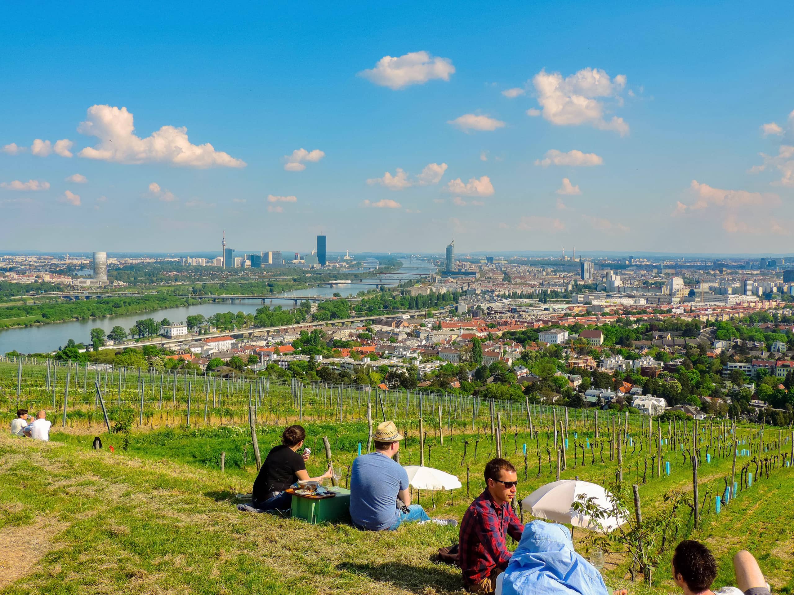 Menschen sitzen am Nussberg mit Blick über Wien.